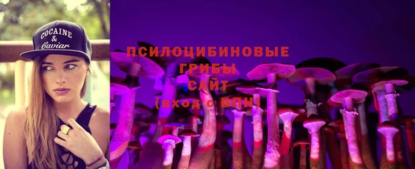 бошки Дмитровск