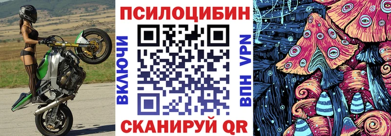 Псилоцибиновые грибы GOLDEN TEACHER  Купить где  Галич 